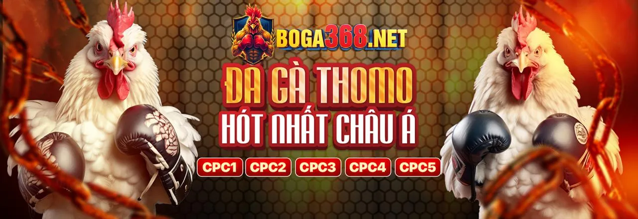 Đá gà trực tuyến kịch tính tại f169 giftcode với mã quà tặng f169 độc quyền